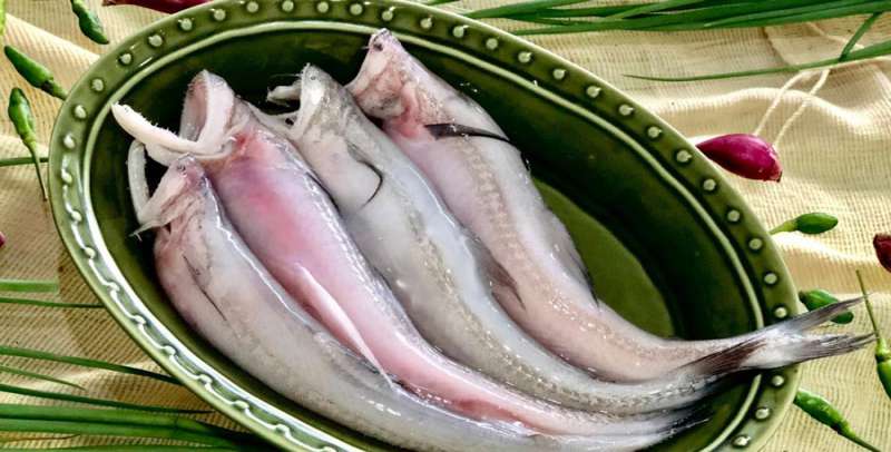 Quang Binh Hot Pot ปลาเนื้ออ่อน